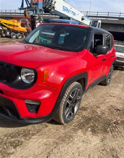 جيب رينيجيد